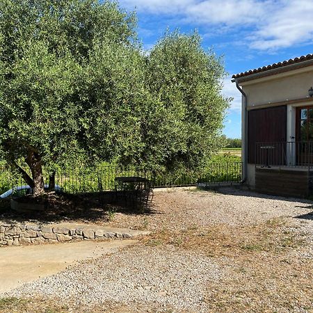 Gîte le Pressoir Narbonne Extérieur photo